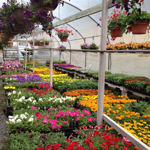 Photos At Hewitt Garden Center Latham Ny
