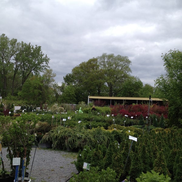 Photos At Hewitt Garden Center Latham Ny