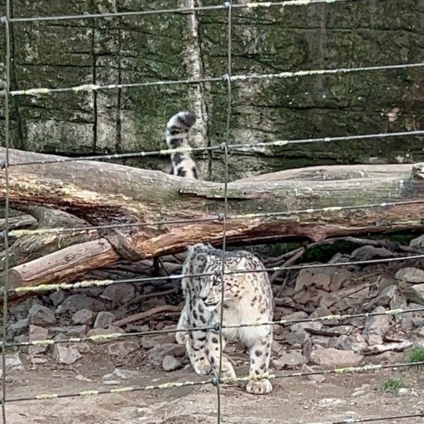 2/13/2023 tarihinde Eftimie M.ziyaretçi tarafından Zoo Basel'de çekilen fotoğraf
