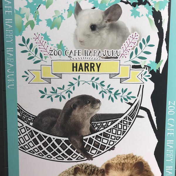 Fotos En Harry Harajuku Terrace Cafe Para Mascotas En Shibuya