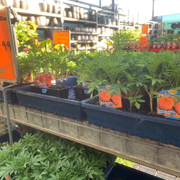 Bunnings Warehouse Hardware Store in Jandakot