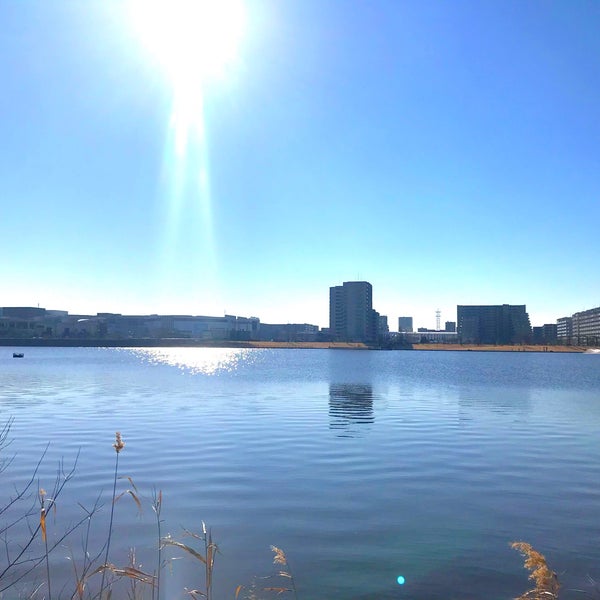 Fotos En レイクタウン湖畔の森公園 Koshigaya 埼玉県