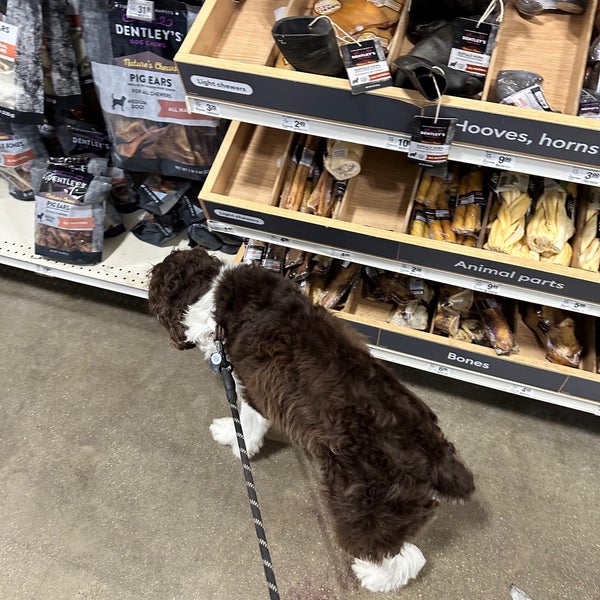 PetSmart 13337 Worth Ave