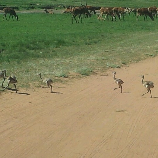 Foto diambil di Pampas Safari oleh Pauline B. pada 12/9/2012