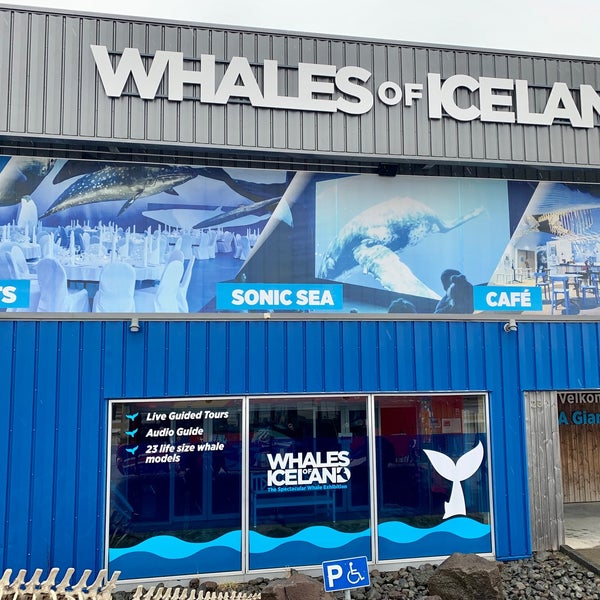 4/11/2023 tarihinde Phillip D.ziyaretçi tarafından Whales of Iceland'de çekilen fotoğraf