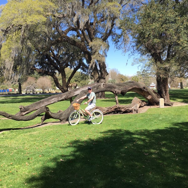 Broken Oak Tree Scenic Lookout