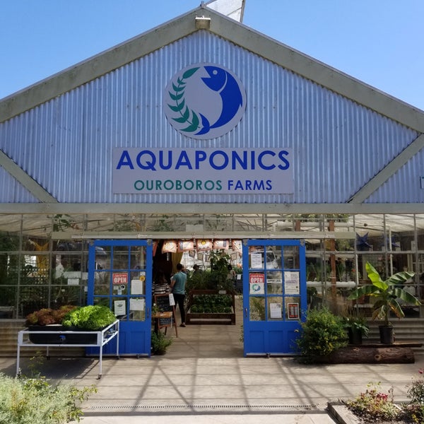 aquaponics - ouroboros farms - 2 tips from 75 visitors