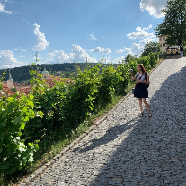 6/20/2019 tarihinde Chris H.ziyaretçi tarafından Svatováclavská vinice'de çekilen fotoğraf
