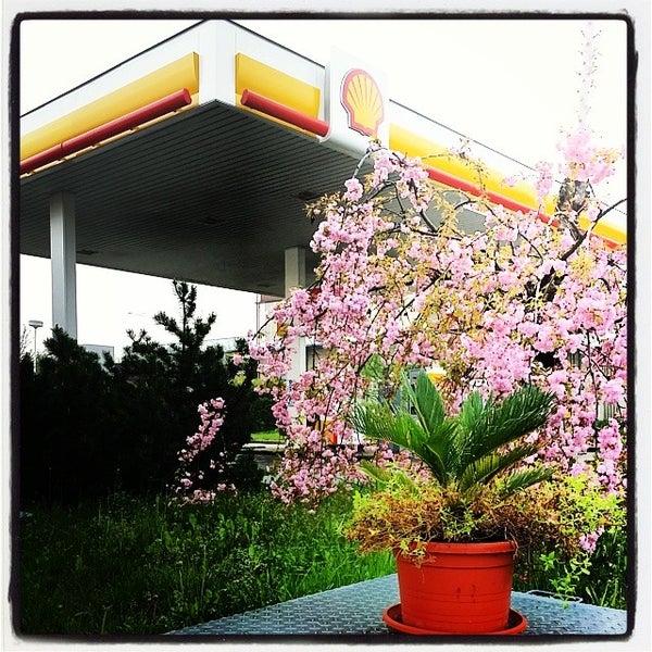 Photo taken at Shell by Alexander A. on 4/6/2014