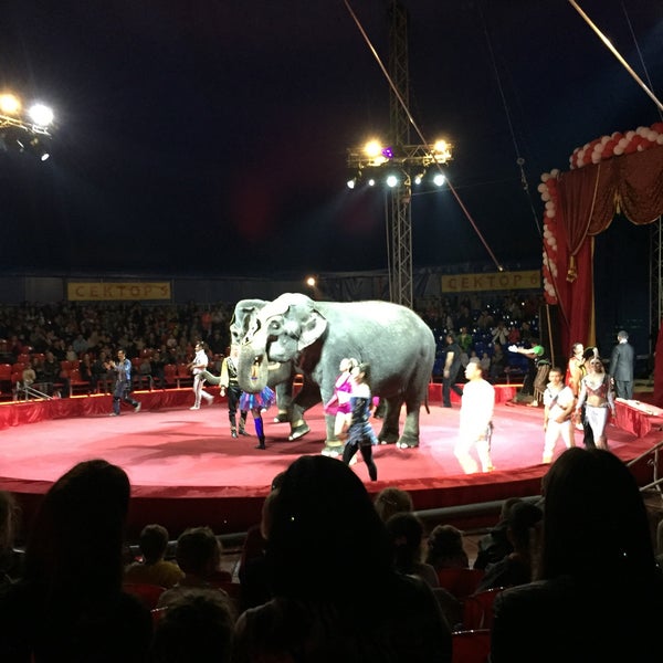 Цирки россии. Цирк внутри спб цирк чинизелли. Итальянский цирк на фонтанке. 21 цирк. Манеж цирка казань.