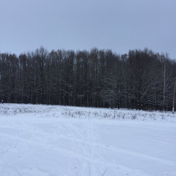 Опушка Медведевского леса Орел