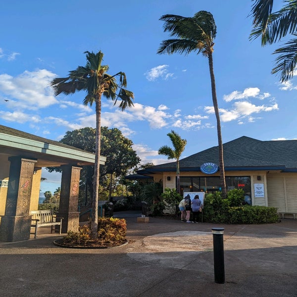 Tante's Fishmarket Restaurant & Bar 4 tips