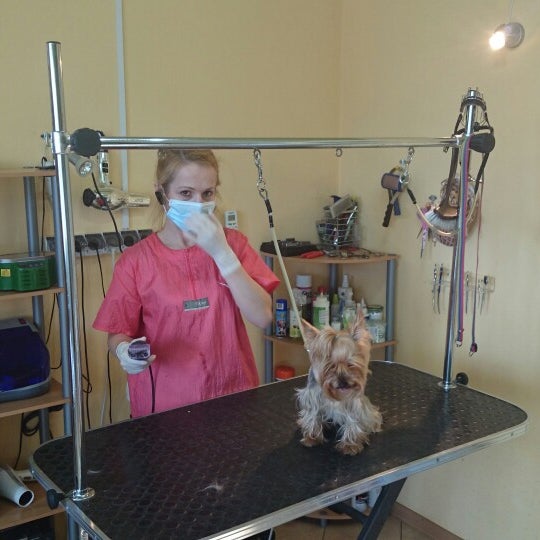 Photos At Psi Fason Pet Service In Białystok