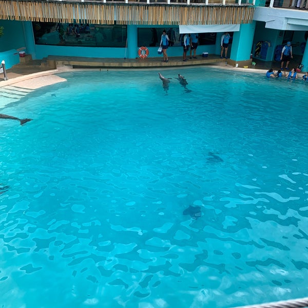 Photo taken at Aquarium Cancun by Victor R. on 12/8/2019