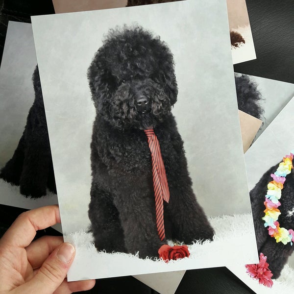 Aveve Halle Vlaams Brabant