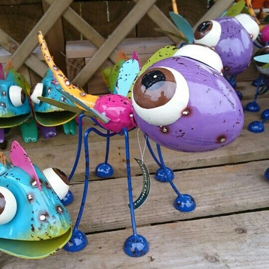 Photos at Longacres Garden Centre Bagshot, Surrey