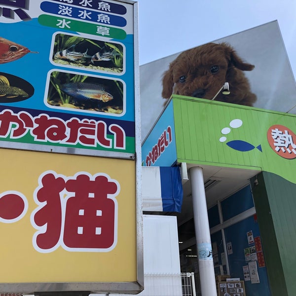 Fotos En かねだい 東戸塚店 Tienda De Mascotas En Yokohama
