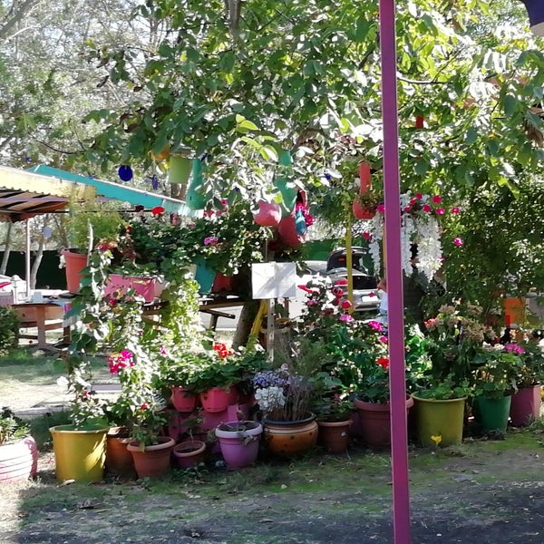 Doğa Piknik Et Mangal İstanbul�da Steakhouse