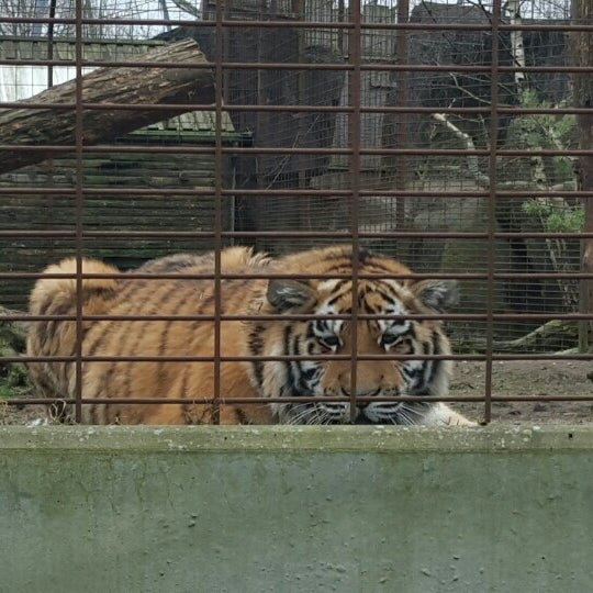 Photos At Odense Zoo Zoo In Odense C