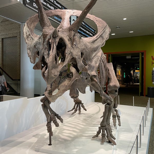 Photo taken at Denver Museum of Nature and Science by Yian on 8/14/2021