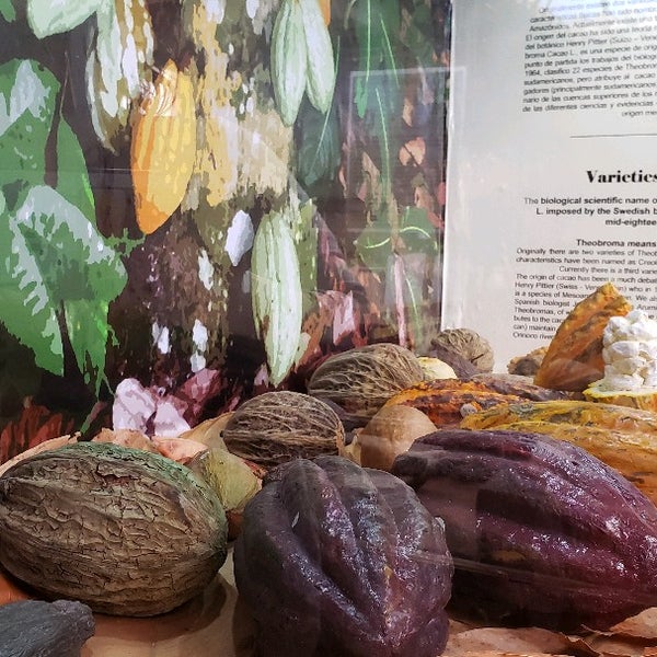 Das Foto wurde bei Kakaw, Museo del cacao &amp; chocolatería cultural von Nely R. am 12/20/2019 aufgenommen