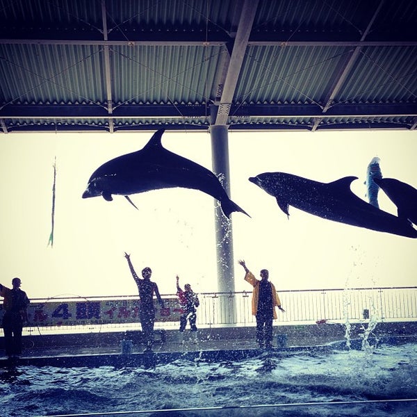 大黒イルカランド Aquarium In 串間市