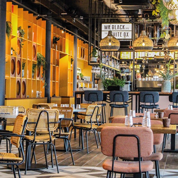 mr black and the white ox