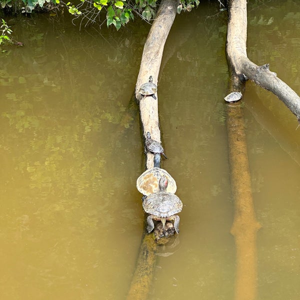 Lake Lynn Raleigh, NC