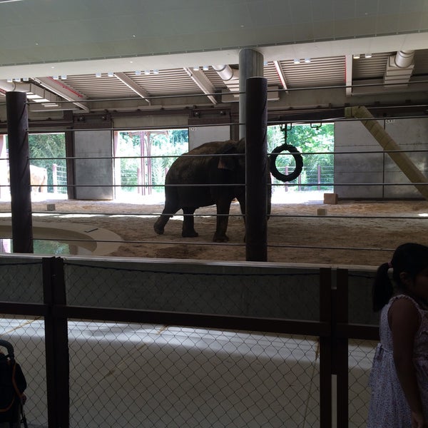 Elephant house