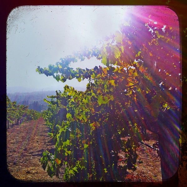 10/3/2012にMega T.がCorison Wineryで撮った写真