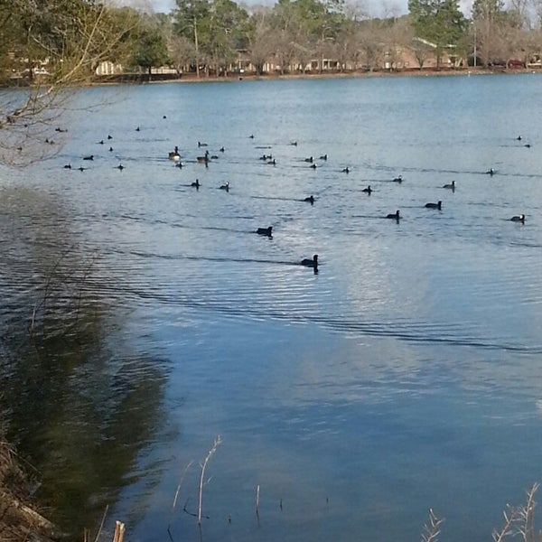 Lake Loretta Lake Park Albany, GA