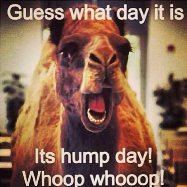 Petsmart Distribution Center Newnan, GA