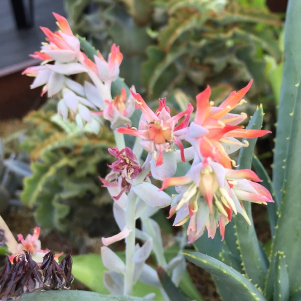 そら植物園 代々木 代々木1 28 9 そら植物園 代々木 代々木1 28 9