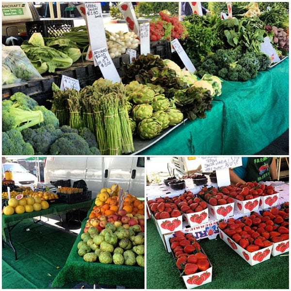 28+ Carson City Farmers Market MhyahMerissa