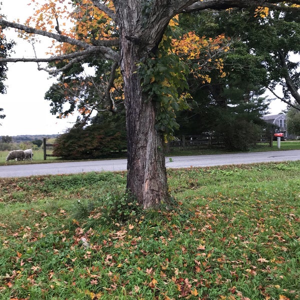 Photos at Lebanon Town Green Lebanon, CT