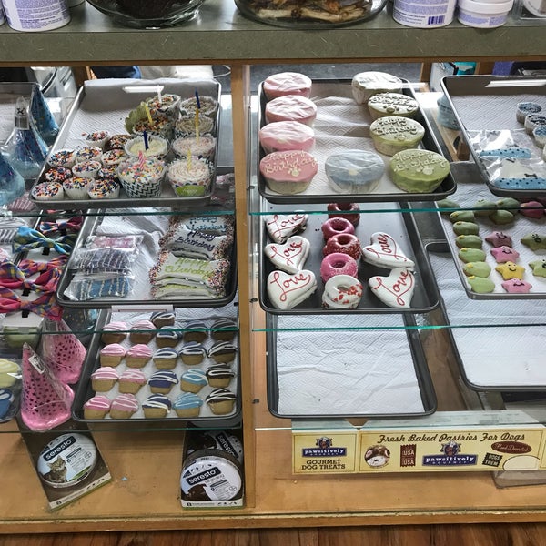 Loyal Companion Acton, MA