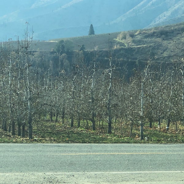 Anjou Bakery 3898 Old Monitor Rd