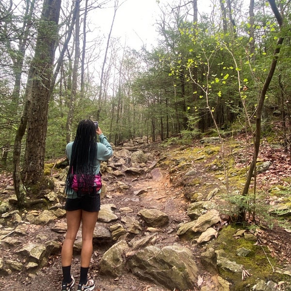 Mt. Tammany Delaware Water Gap Mountain in Knowlton Twp