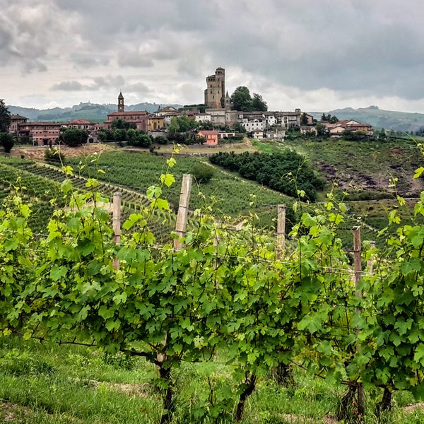 Serralunga d'Alba - 5 tips from 323 visitors
