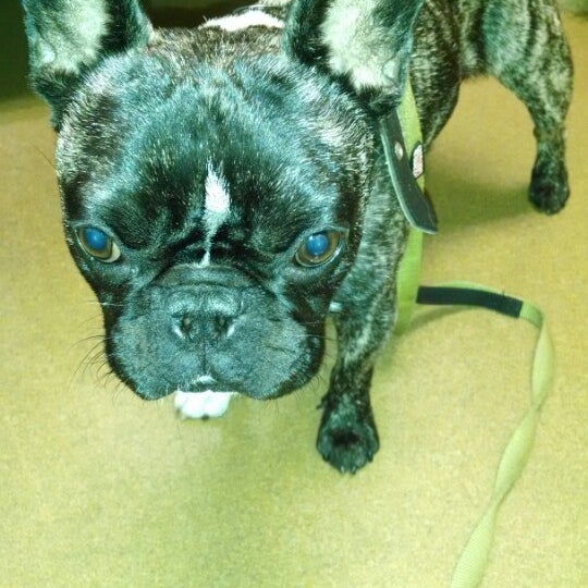 VCA Orange County Veterinary 