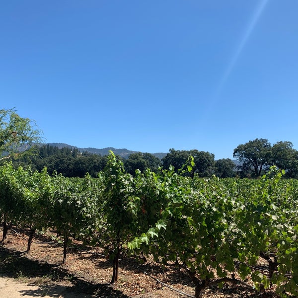 Photo taken at Twomey Cellars by Chris D. on 8/30/2019