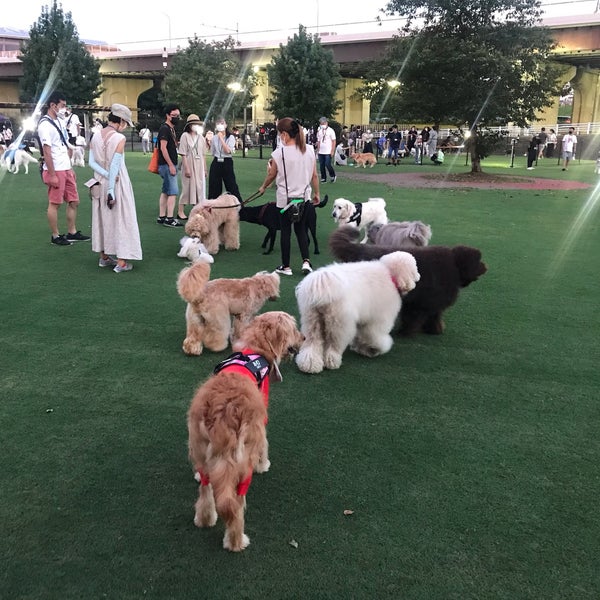 Fotos Em 新横浜公園ドッグラン 港北区 0 Dicas