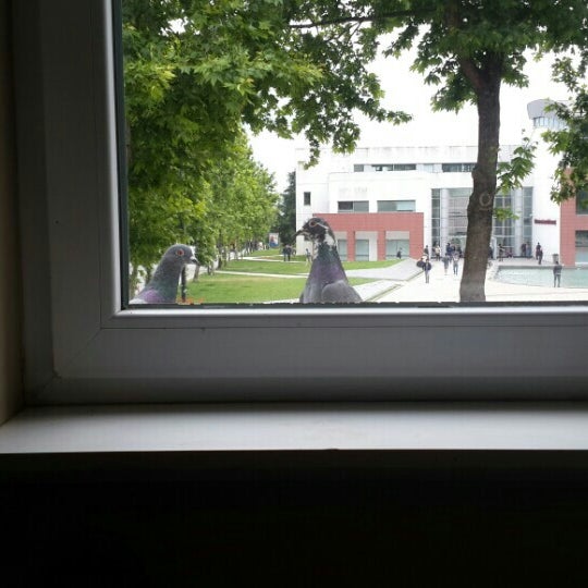 yilmaz akdoruk konukevi sariyer itu ayazaga yerleskesi