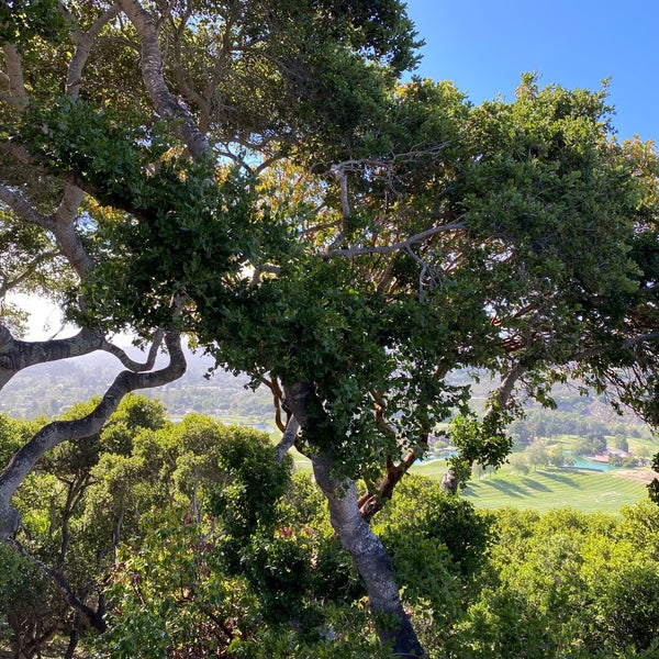 Photo taken at Carmel Valley Ranch by Roger E. on 5/28/2021
