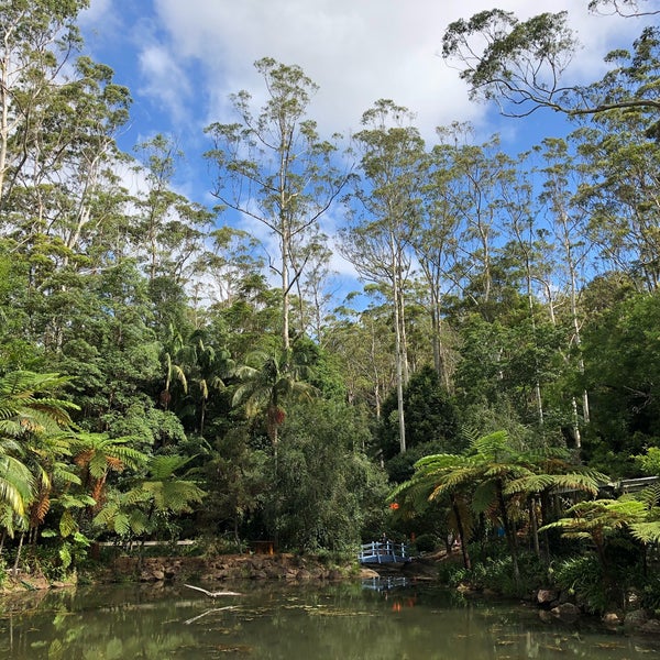 Mount Tamborine Botanic Gardens 5 tips