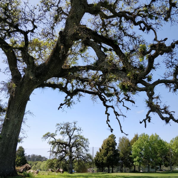 Photo taken at Eagle Vines Golf Course by Nick S. on 4/8/2018