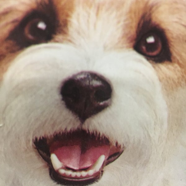 K9 Specialties Pet Supplies Store in Northwest Warren