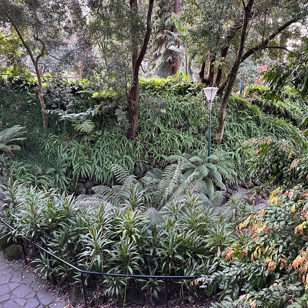 Снимок сделан в Royal Botanic Gardens пользователем Gorken G. 9/3/2023
