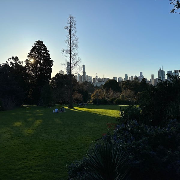 9/3/2023にGorken G.がRoyal Botanic Gardensで撮った写真