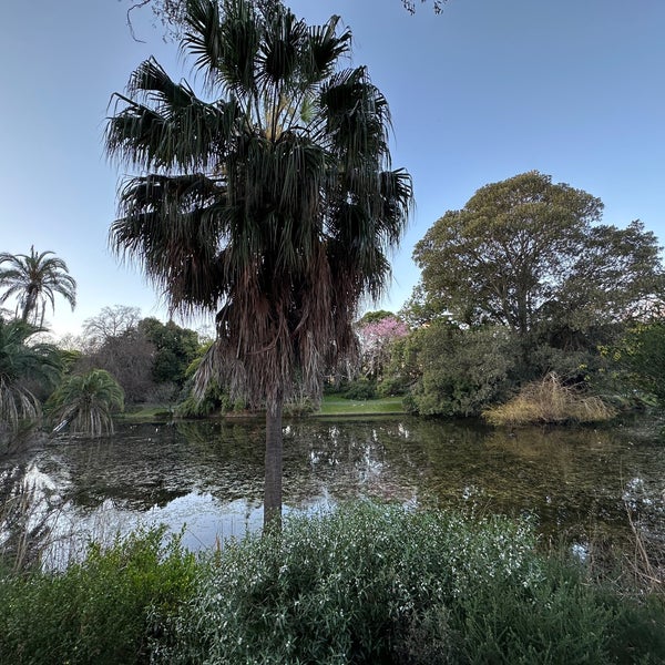 Снимок сделан в Royal Botanic Gardens пользователем Gorken G. 9/3/2023